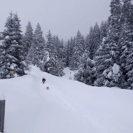 Zirben Karin By Interhome Apartman Innsbruck