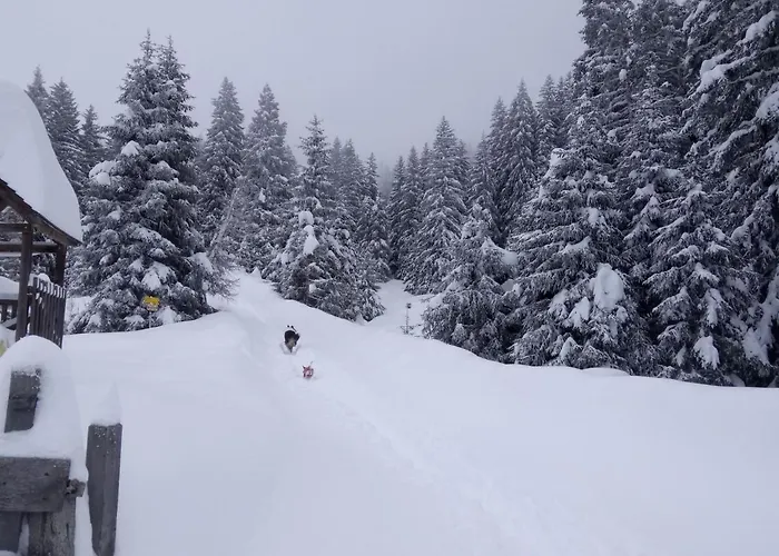 Zirben Karin By Interhome Apartment Innsbruck